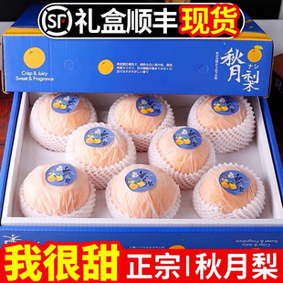 正宗山东秋月梨10新鲜水果9斤梨子现摘现发当季整箱莱阳包邮5礼盒