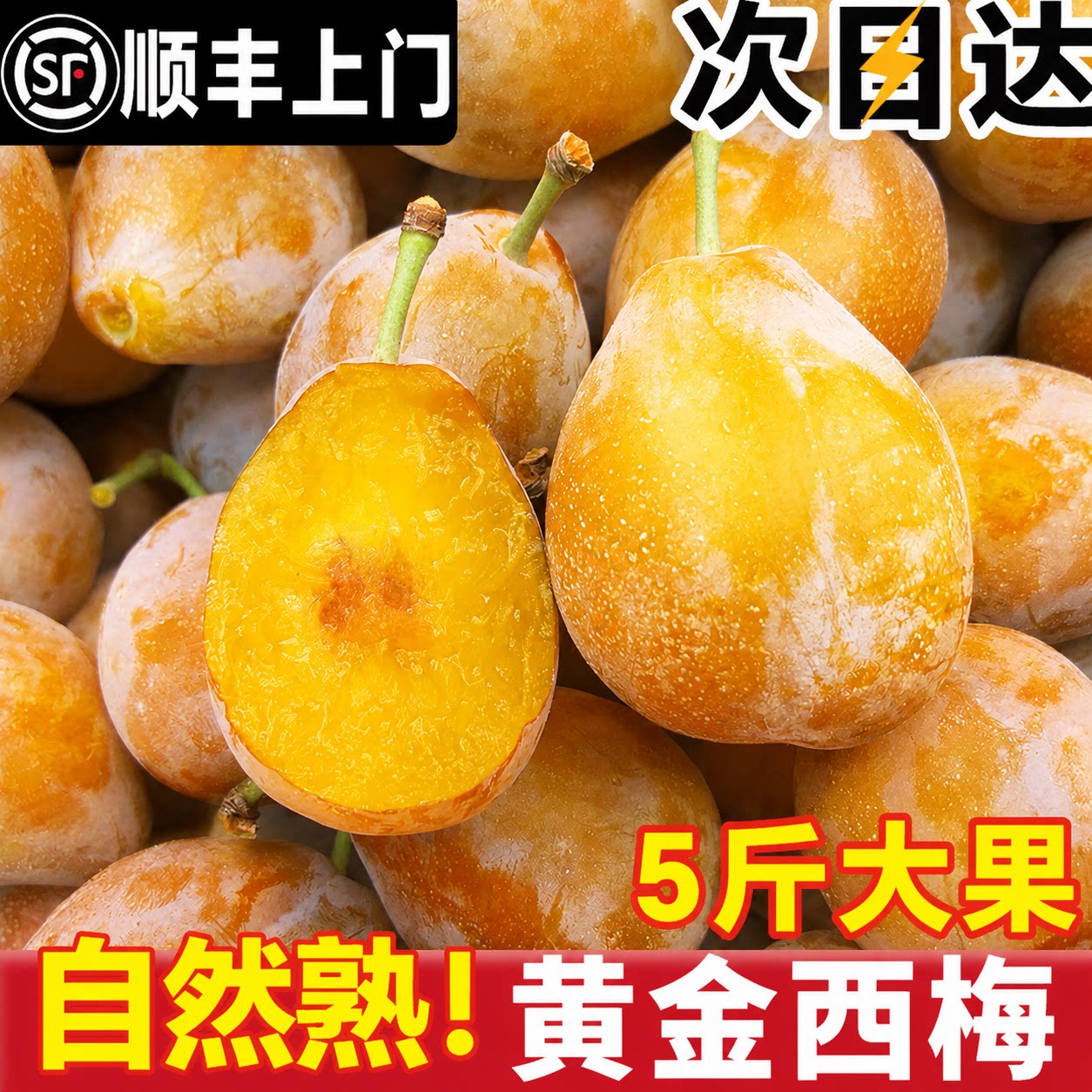 正宗新鲜西梅现摘现发坏果包赔