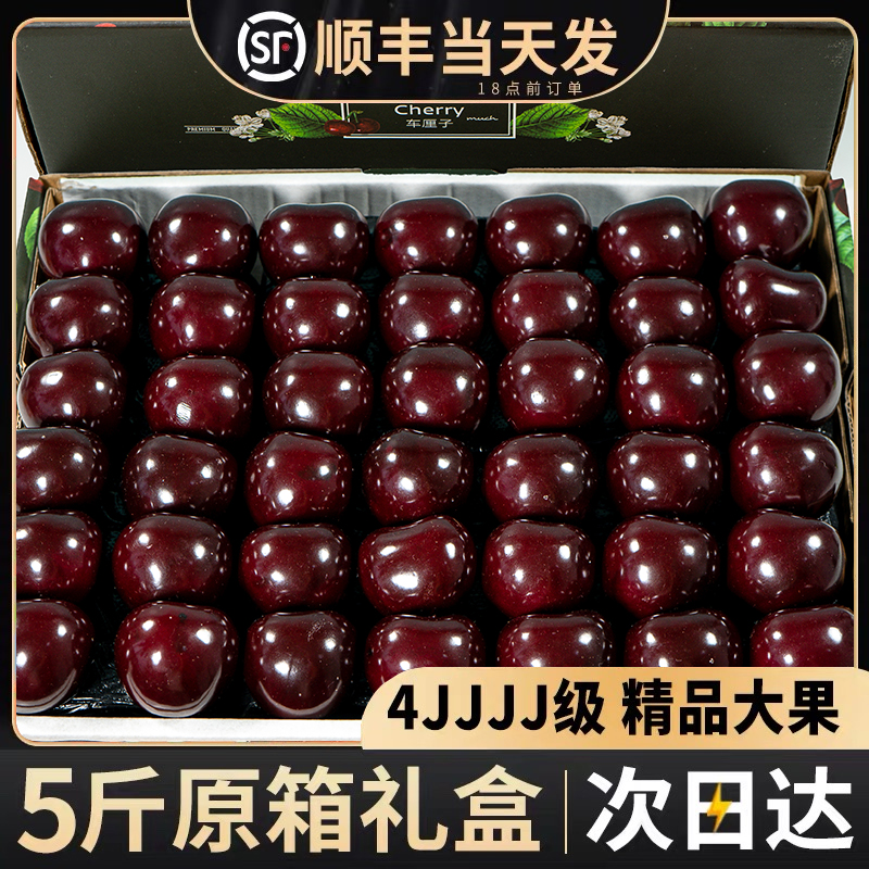 智利车厘子新鲜水果包邮5j5斤装礼盒进口孕妇大樱桃4j官方旗舰店3