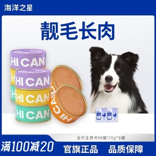 海洋之星全价主食狗狗罐头拌饭增肥罐头170g*8狗粮主粮幼犬湿粮