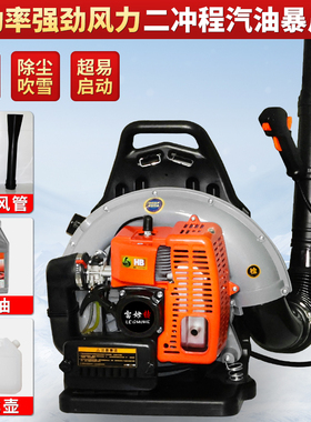 强力汽油吹风机大功率工业用鼓风机吹树叶背负式风力灭火机吹雪机