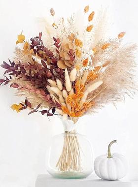 Natural Plant Dried Pampas Grass Bouquet Boho Reed Dried Flo