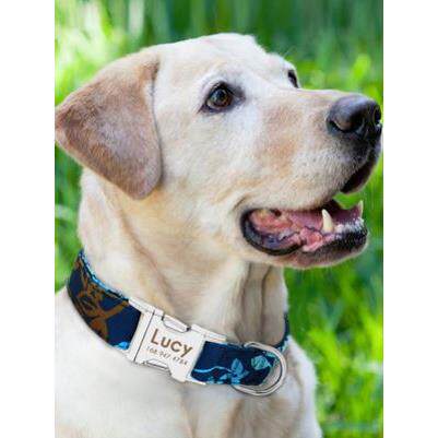 Dog Collar Pet Tag Puppy Cat Nameplate ID Collars Adjustable