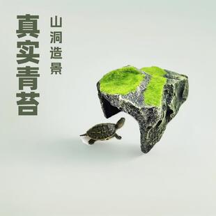 爬虫箱陆龟躲避屋窝洞穴造景蜘蛛乌龟逼真青苔山洞植绒龟洞晒台