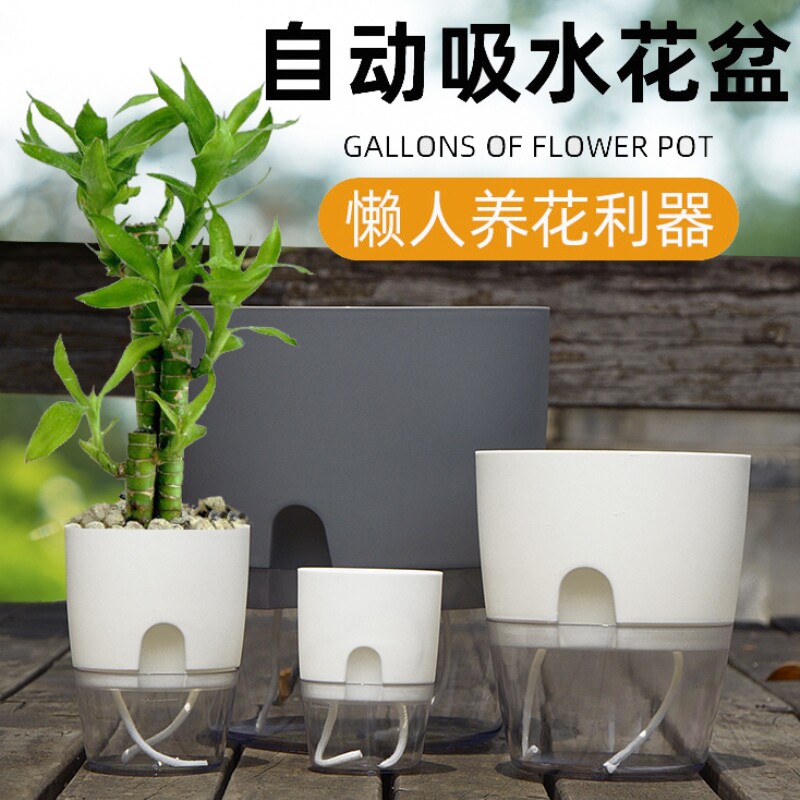 懒人自动吸水花盆新款免浇水花盆绿萝月季加仑盆塑料阳台兰花多肉