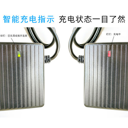 新品喜德盛充电器锂电池24V36V48V代驾电瓶传说/灵动7/9号台铃电