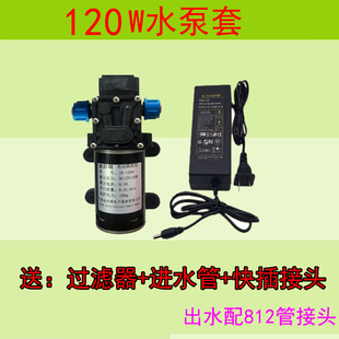 100 12V60 120W小型水泵自吸增压泵微型抽水高压水泵家用喷头洗车