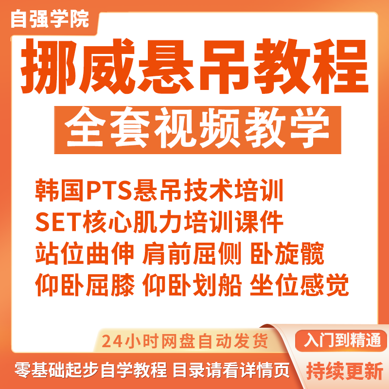 SET挪威悬吊康复训练方法视频课程SETPLUS康复治疗悬挂技术教程