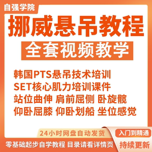 SET挪威悬吊康复训练方法视频课程SETPLUS康复治疗悬挂技术教程