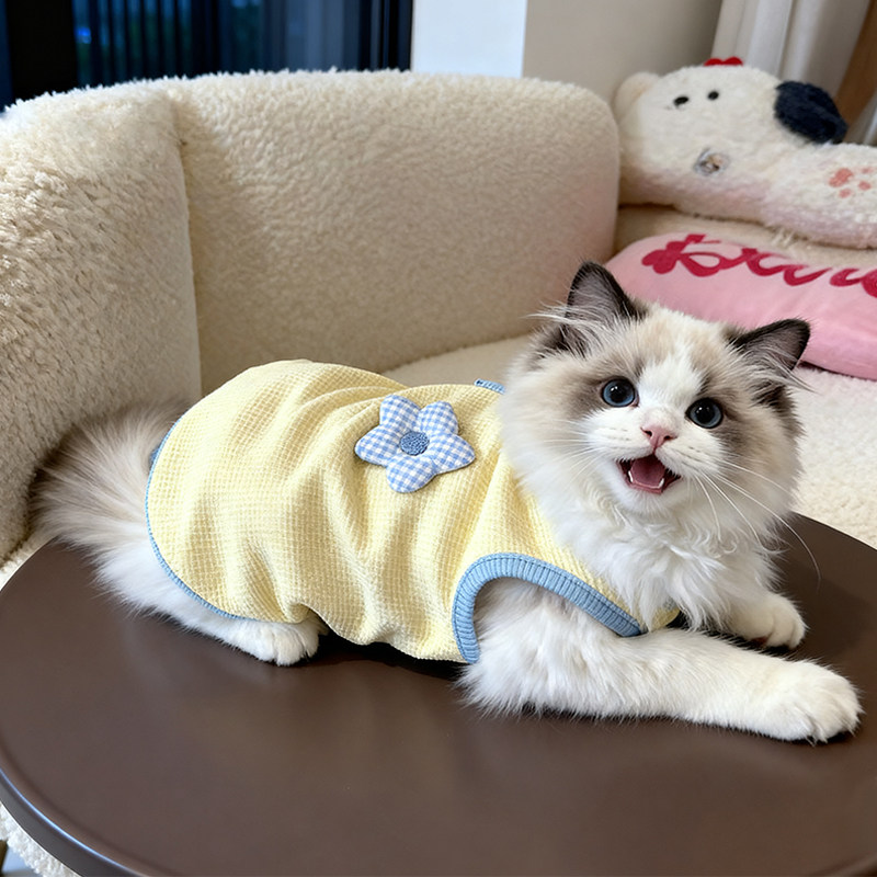 猫咪衣服秋季小花背心防掉毛金渐层布偶金吉拉外出可牵引幼猫衣服