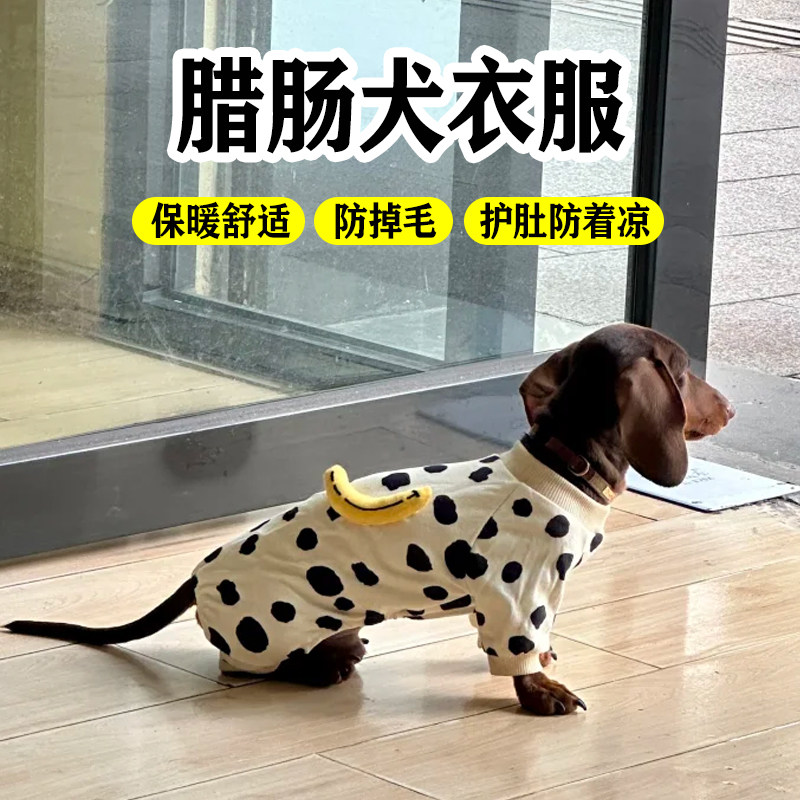 腊肠犬衣服四季通用秋冬保暖打底衣小型犬专用护肚小体狗宠物用品