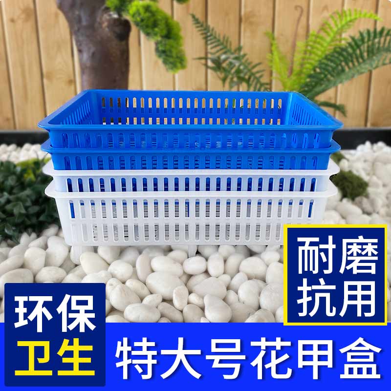 特大号海鲜池花甲盒海鲜筐