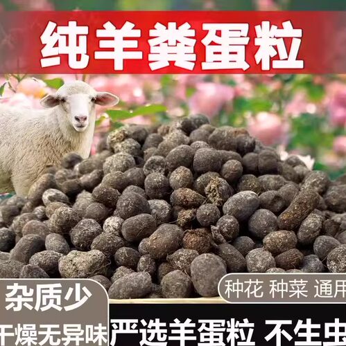 腐熟羊粪发酵有机肥羊蛋花肥料