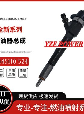 0445110295 0445110296 0445110297 0445110298 适用柴油发动机