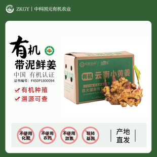 有机小黄姜云南带泥鲜姜新鲜现挖现发农家自种无农药无化肥无激素