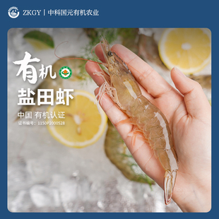有机盐田虾无抗®鲜活速冻虾渤海盐田有机养殖大虾儿童辅食俏虾客