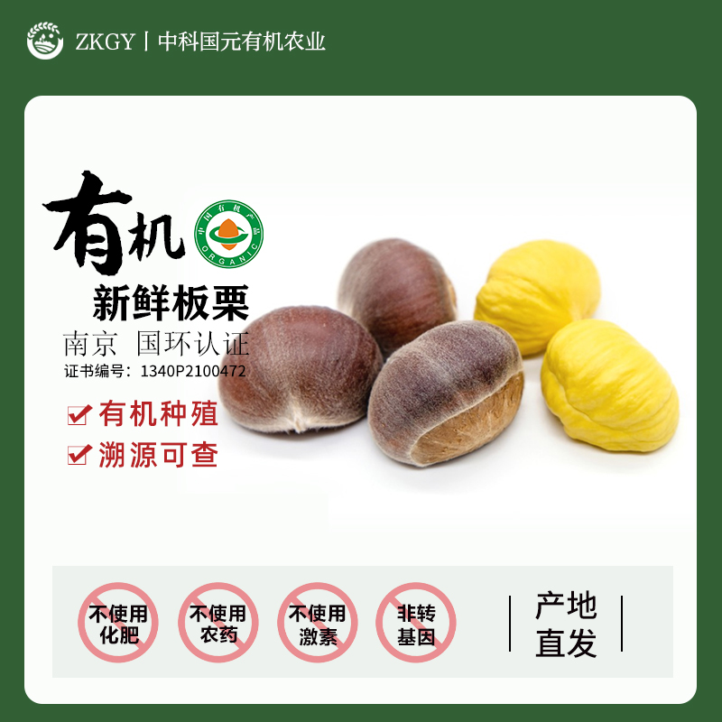 有机板栗新鲜板栗仁当季农家自种云南生板栗2025年新鲜产地直发大