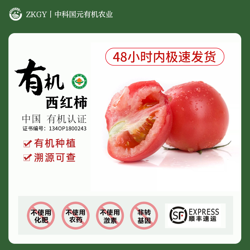 有机西红柿自然熟新鲜普罗旺斯