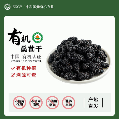 有机桑葚干无熏硫不染色