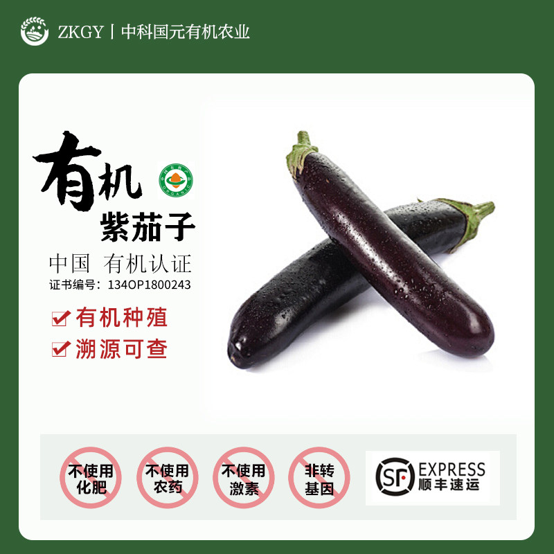 新鲜有机蔬菜有机茄子5斤现采现发当季时令有机蔬菜顺丰发货