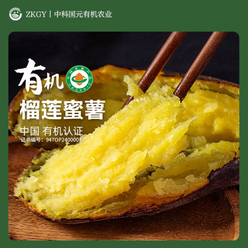 有机榴莲蜜薯现挖现发农家自种