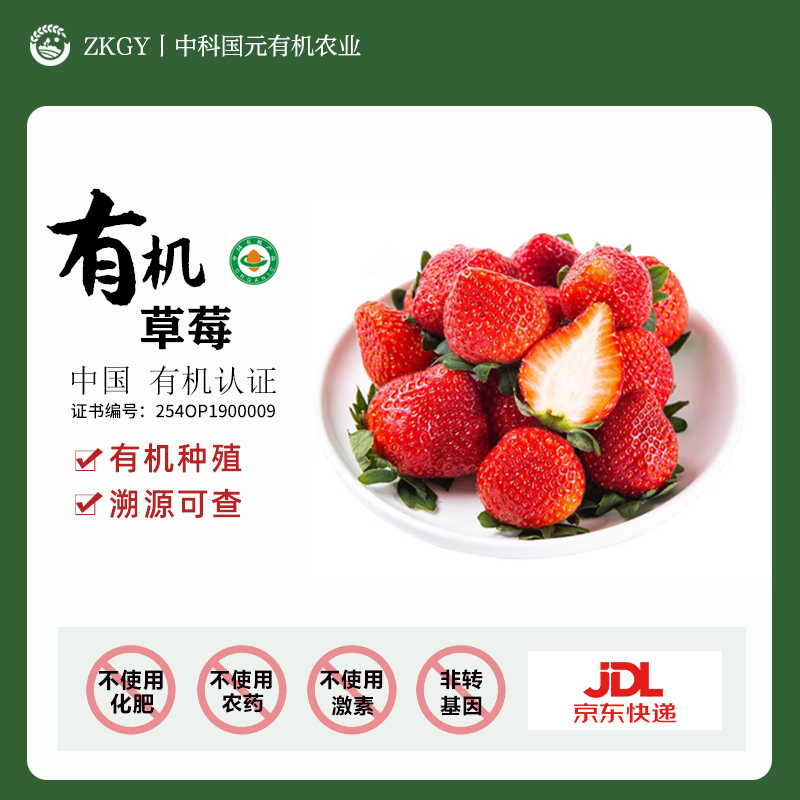 有机丹东草莓宝宝水果礼盒装