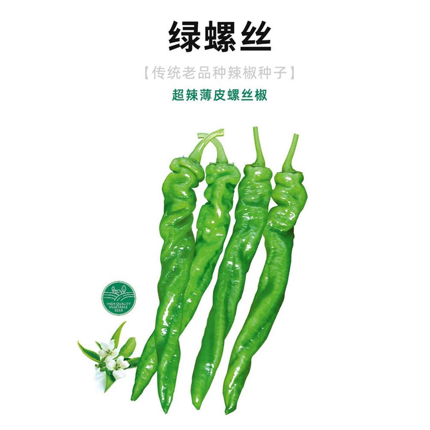 绿螺丝椒种子苗秧小尖四季