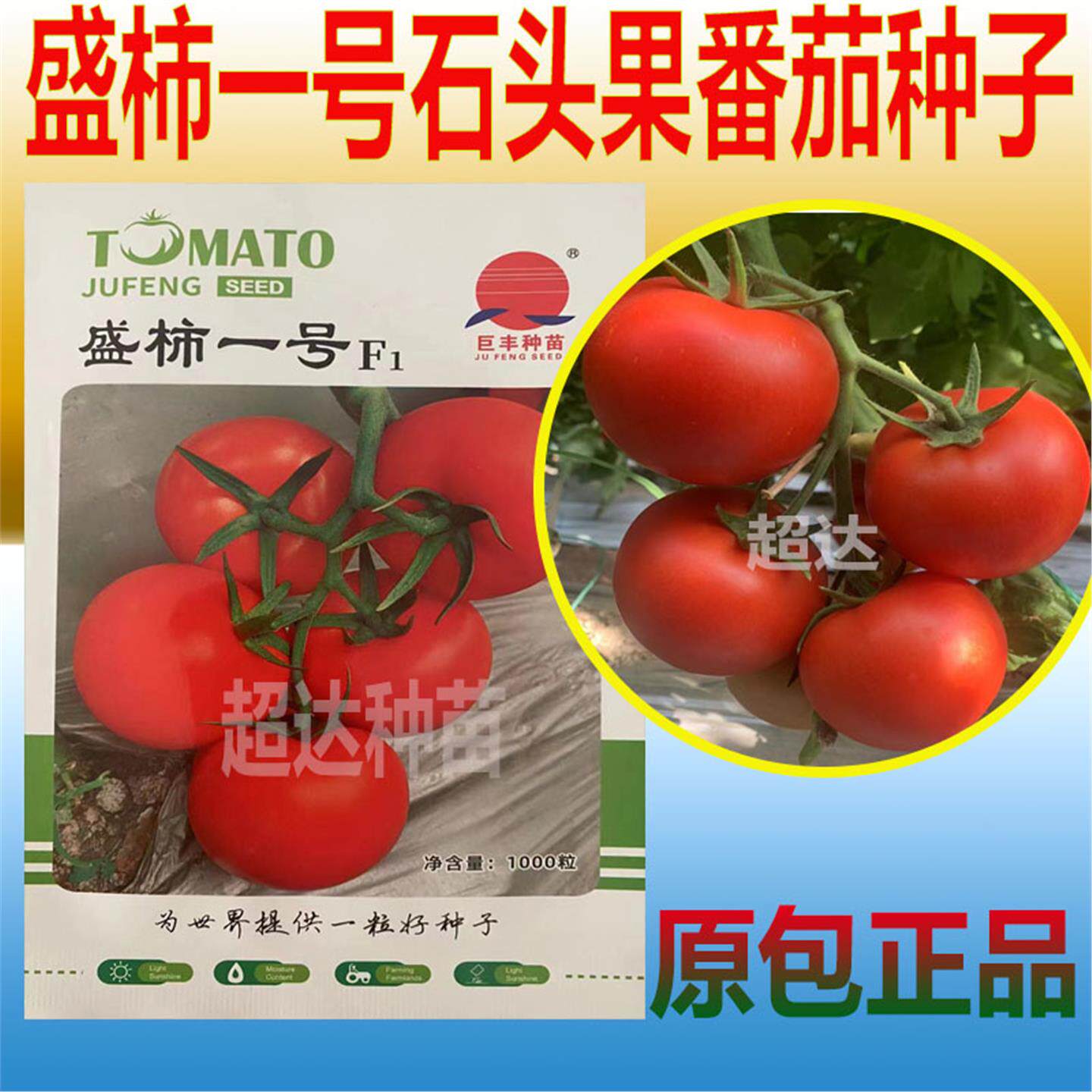 盛柿一号石头果番茄种子籽