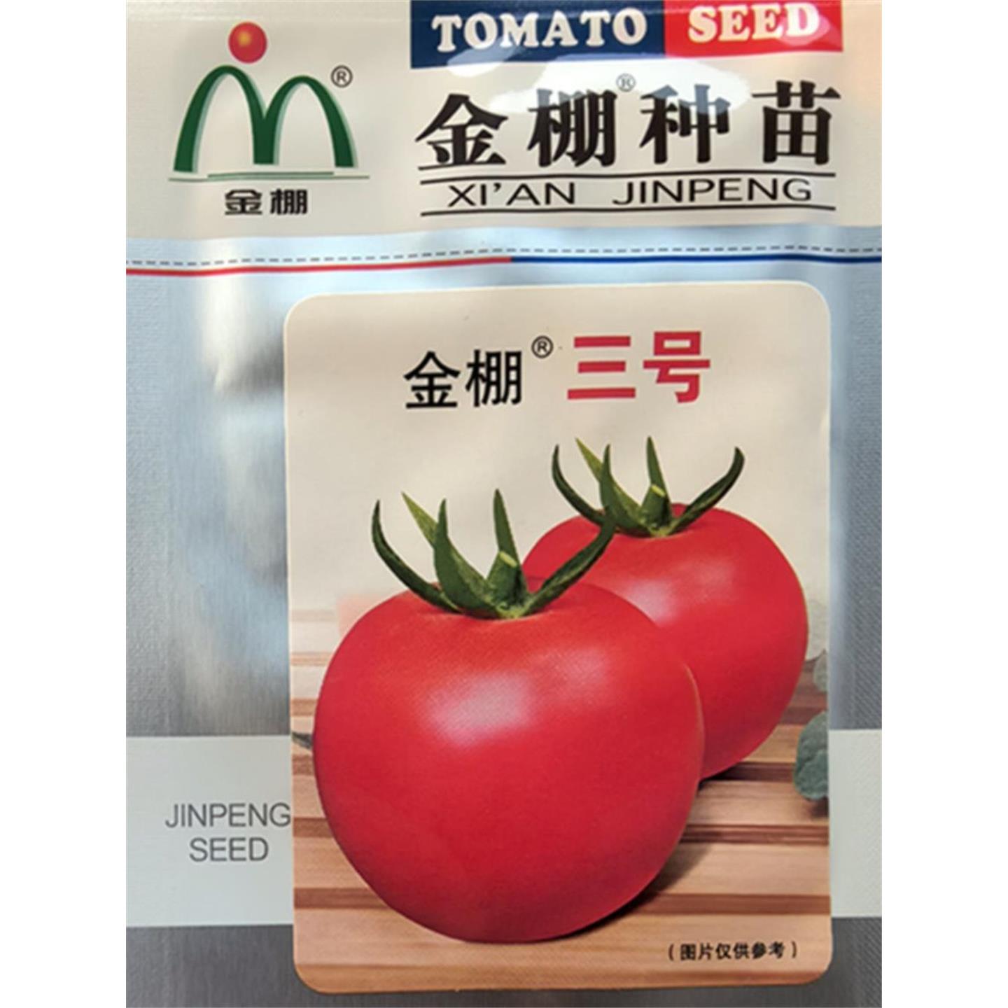 杂交大红种子西柿籽春秋阳