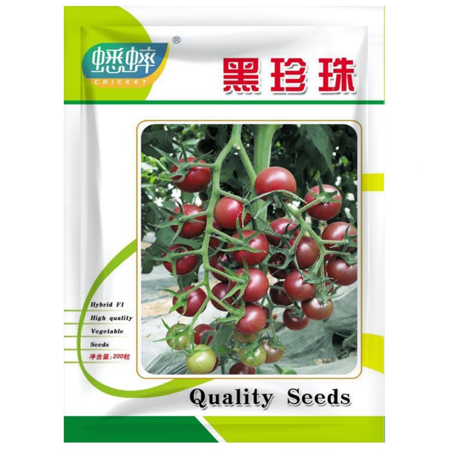 黑珍珠番茄种子紫籽水果四
