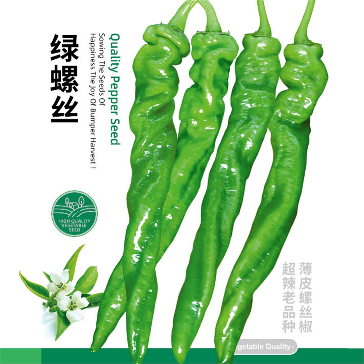绿螺丝椒种子苗秧小尖四季