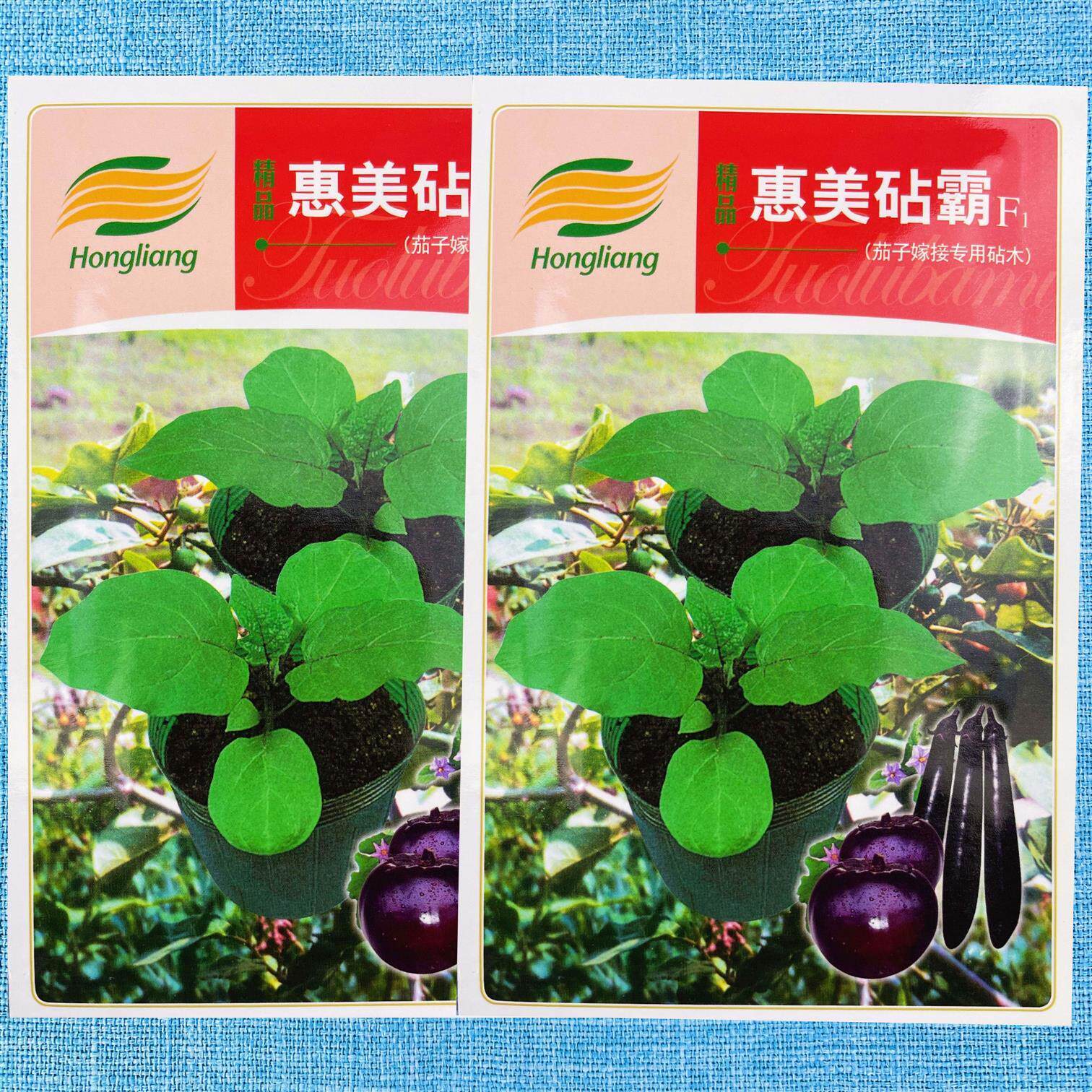 禾之远茄子砧木日本嫁接专