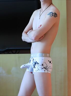 正品aibc厂家男士平角内裤 印花爽滑 凹凸舒适性感023-DPJ