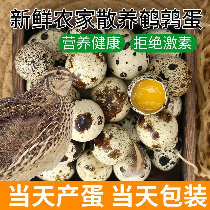 安纯0蛋宝宝吃的鹌鹑蛋新鲜带壳无抗生素0激素孕妇鸟蛋滋补120枚,水产肉类/新鲜蔬果/熟食,鹌鹑蛋,淘宝优惠券,粉丝福利购,淘宝优惠卷