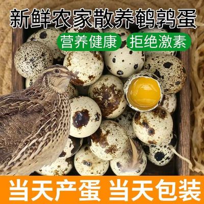 安纯0蛋宝宝吃的鹌鹑蛋新鲜带壳无抗生素0激素孕妇鸟蛋滋补120枚