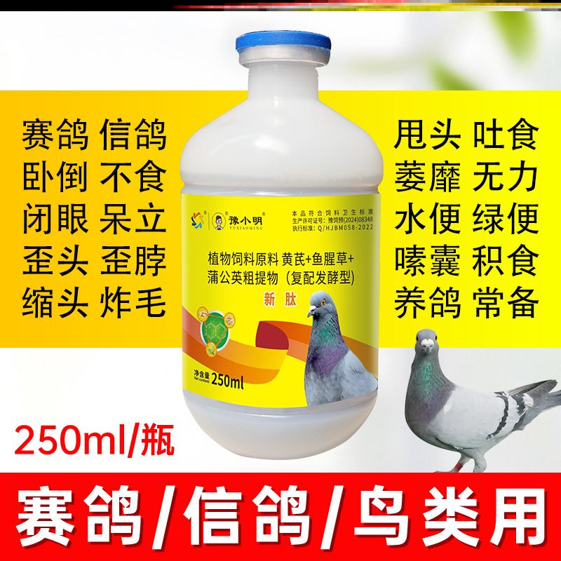 新肽鸽子歪头歪脖鸽子炸毛锁头炸毛嗦囊积食鸽子新肽 正品