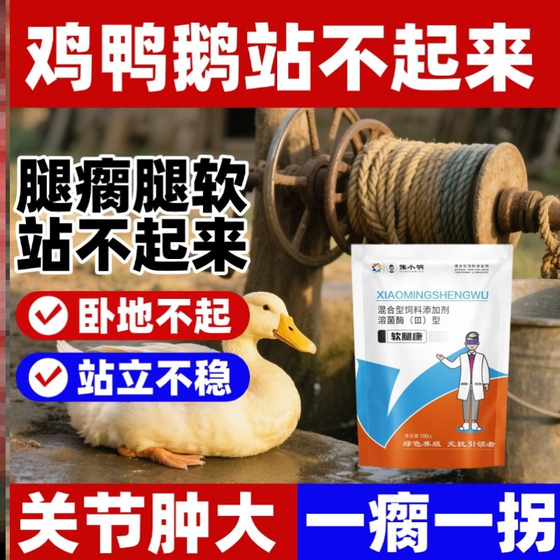 软腿康鸡用禽用软腿康鹅走路腿瘸鹅软腿康喂鸡的软腿康软腿康正宗