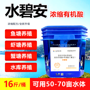 果酸水碧安有机酸 水碧安水产养殖用 水碧安豫小明生物