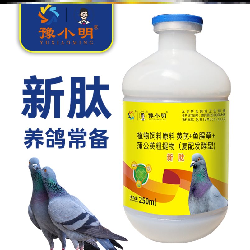 新肽鸽子新肽 正品鸽子歪头歪脖鸽子甩头嗦囊积食新肽养鸽