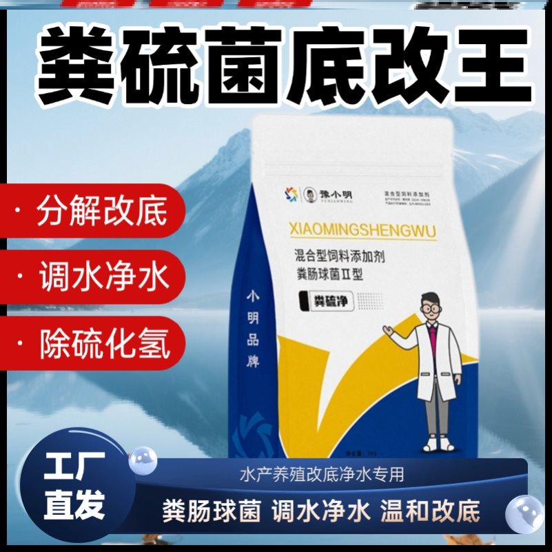 粪硫菌改底超级粪硫菌菌种粪球菌改底王水产改底粪硫菌粪硫菌王