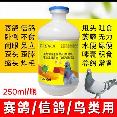 新肽鸽子歪头歪脖嗦囊积食赛鸽绿便鸽子食欲不振锁头炸毛新太