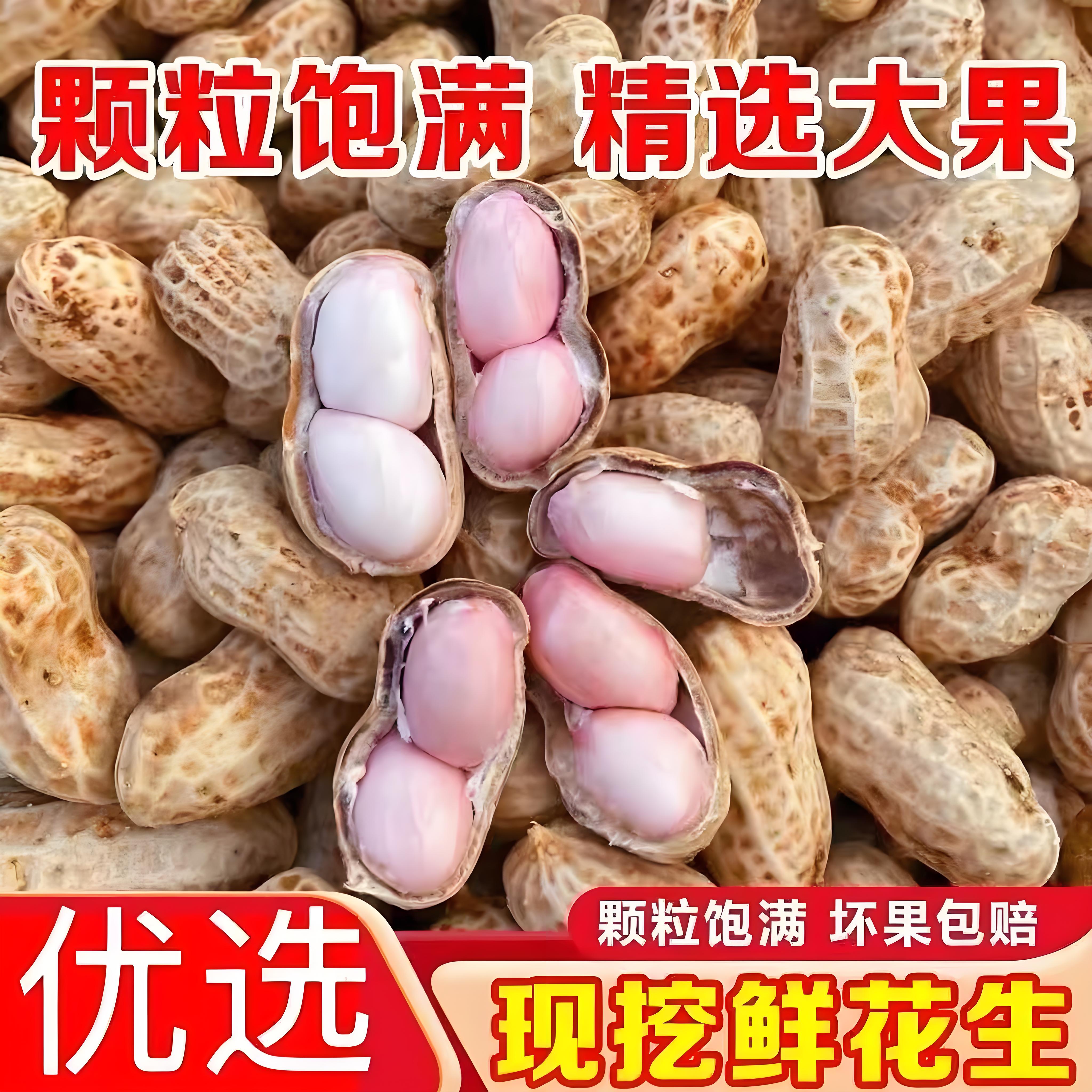 河南沙地现挖鲜花生带壳生吃水煮