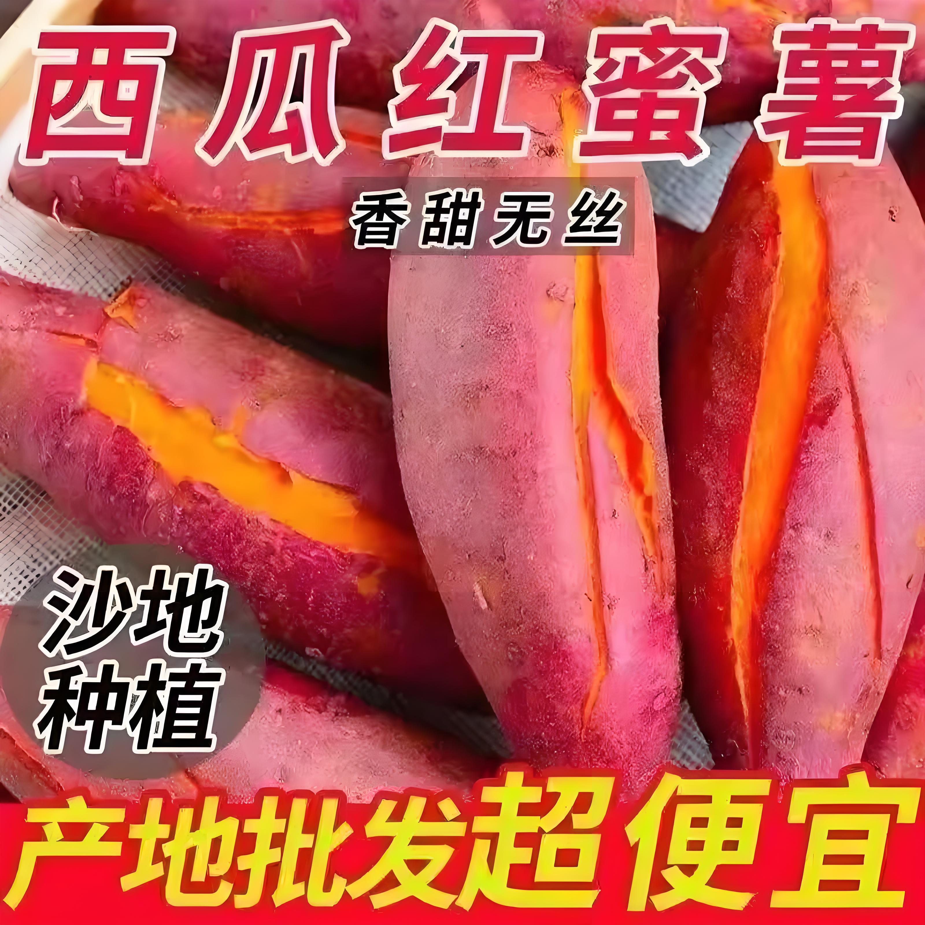 河南沙地红心甜蜜薯现挖软糯香甜