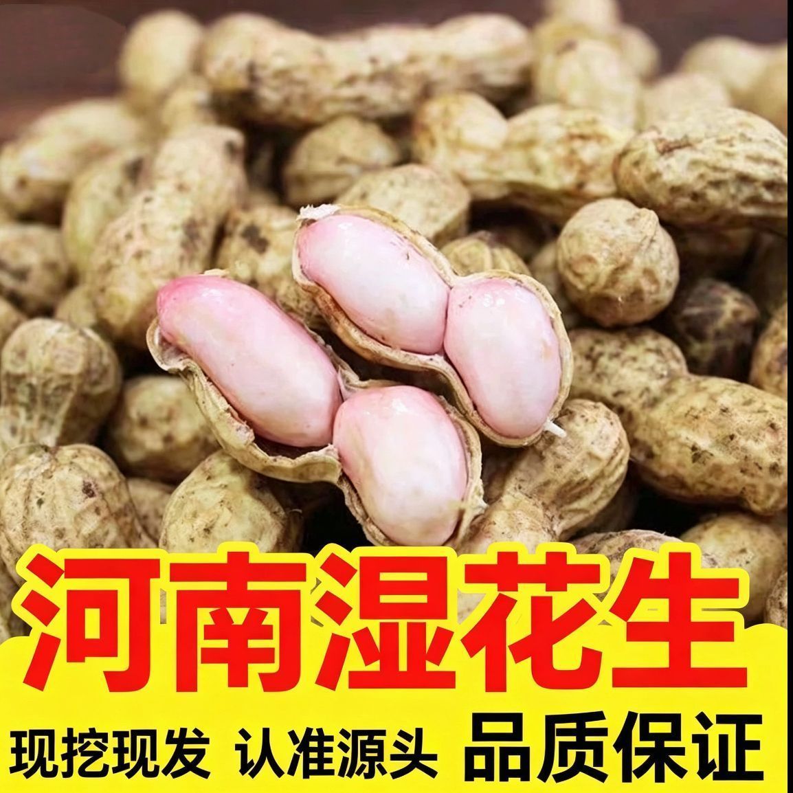 26年新货现挖湿花生可水煮鲜花生