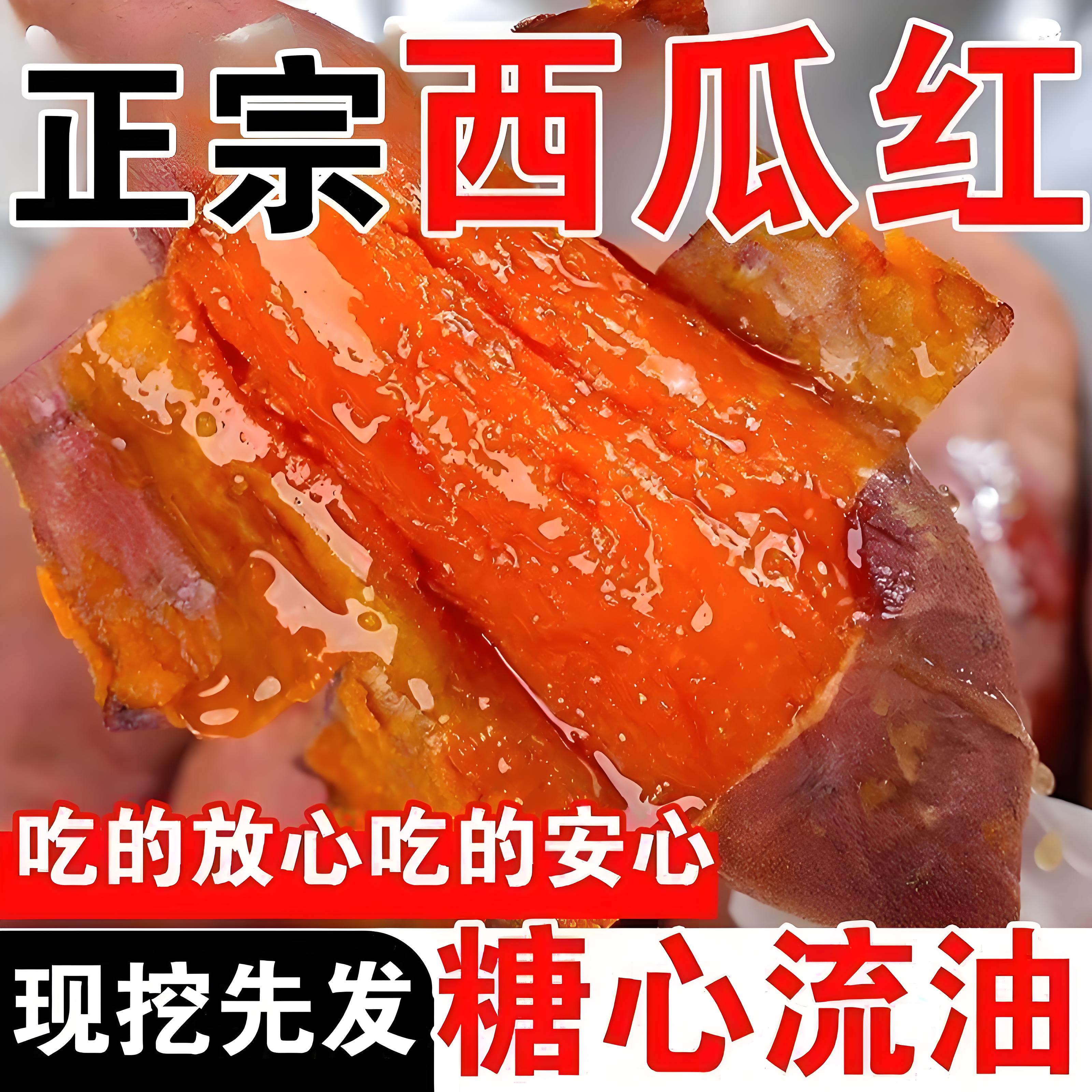 新鲜沙地西瓜红蜜薯新鲜现挖香甜