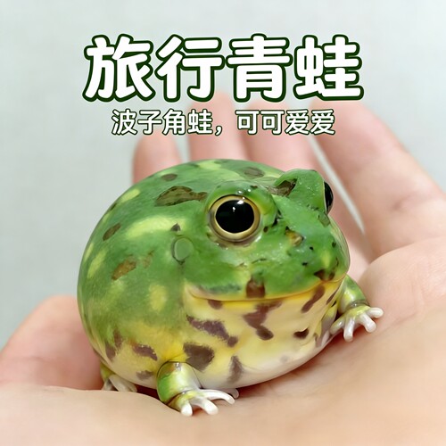 旅行青蛙活体宠物蛙波子角蛙大眼萌仔宠物蛙桌面爬宠学生宿舍宠物