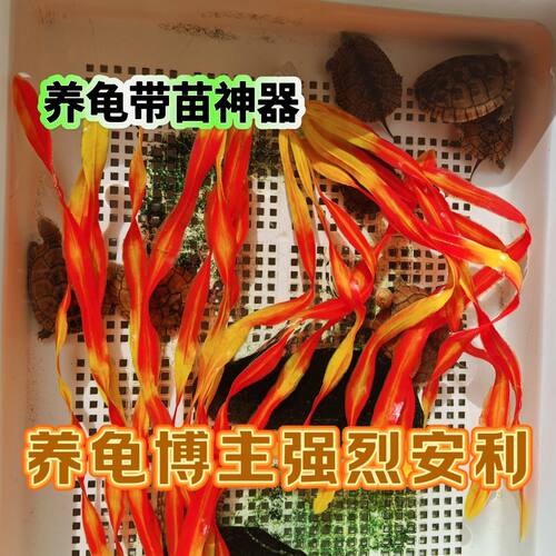 养龟神器仿真水草鱼之宝