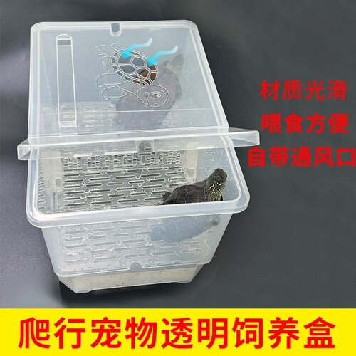 可加温乌龟发色饲养盒带沉淀板