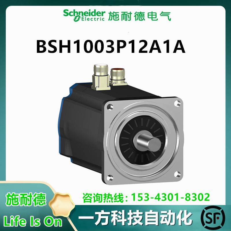 议价BSH1003P12A1A施耐德电机伺服电机驱动器控制电机7,8NM带键IP