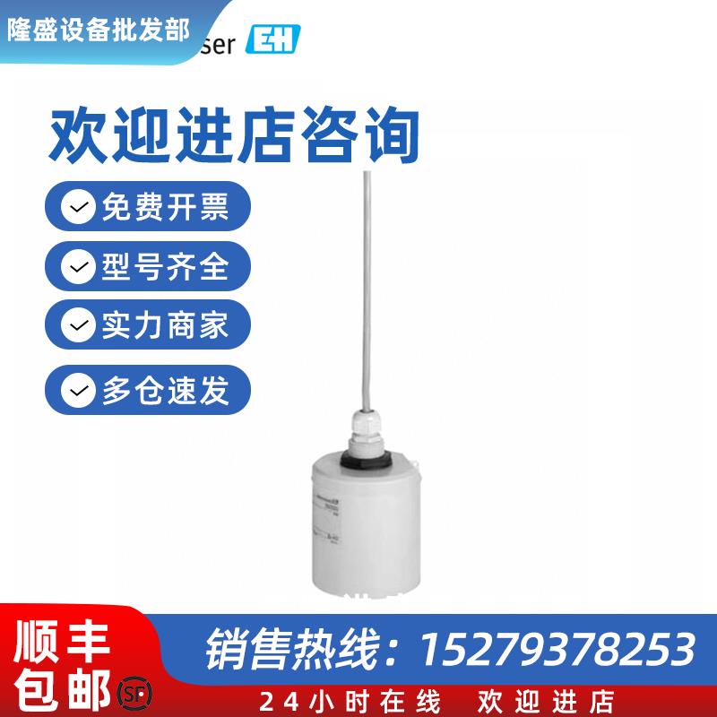 议价E+H 超声波物位计探头FDU92-RG2A 现货 + 探头